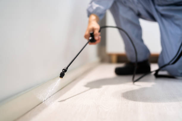 Licensed Fumigation Services service in Auburn Lake Trails, CA - Nex Pest Control