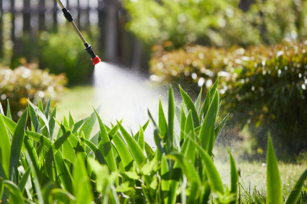 24/7 Emergency Fumigation Services experts in Auburn Lake Trails, CA