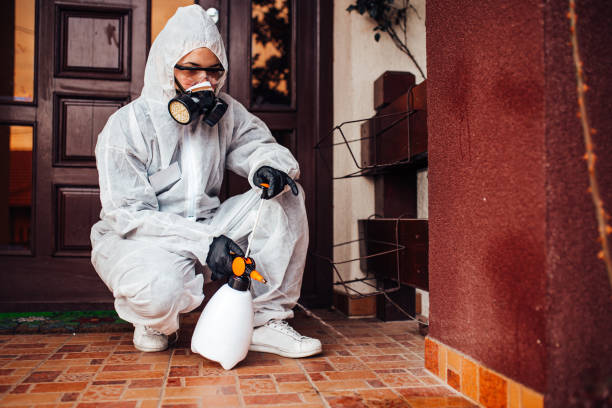 Reliable Fumigation Services contractor in Auburn Lake Trails, CA by Nex Pest Control